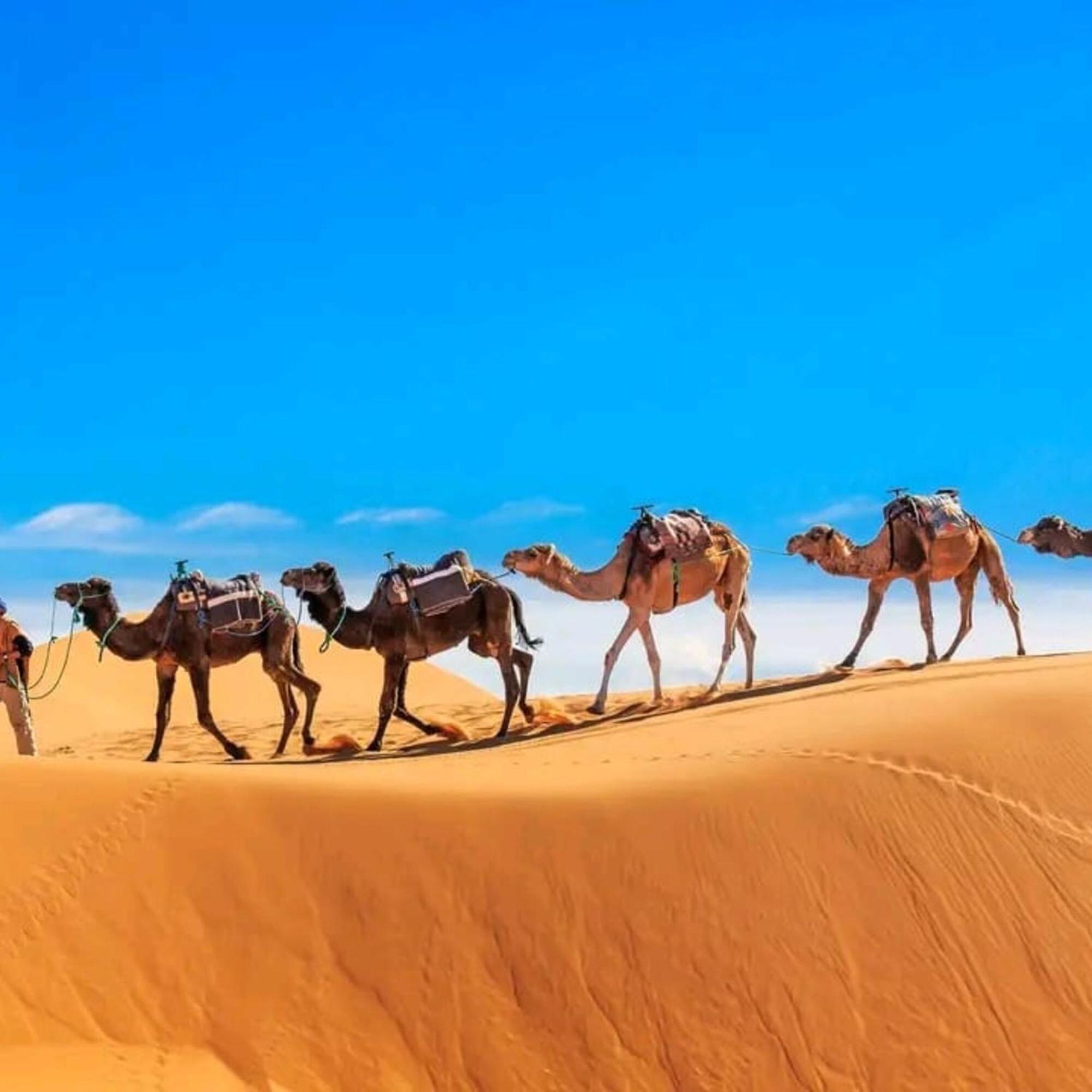 Unique Sahara Camp Hotel Merzouga Exterior foto